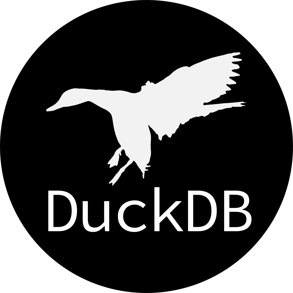 The 5 Minute Introduction to DuckDB: The SQLite for Analytics